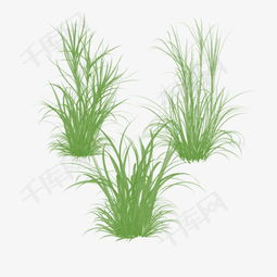 种草 英文,种草 来源