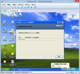 如何在虚拟机上安装vmware tools