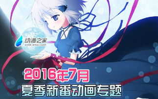 新番动画有哪些