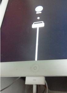 苹果app密码忘记了怎么办,苹果平板ipad密码忘了怎么办