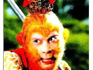 孙悟空资料个人资料500字？