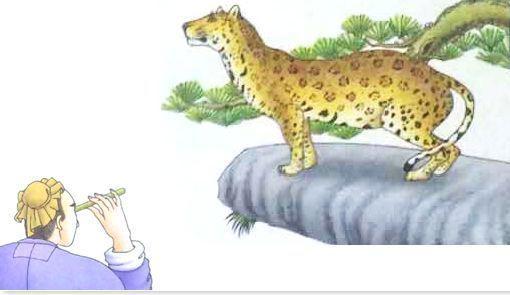 管中窥豹略见一斑的意思，管中窥豹时见一斑