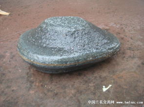 石蛙是否属于保护动物,石蚌蛙图片