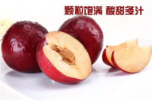 红布林和黑布林有什么区别?