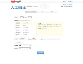 有道人工翻译怎么样？