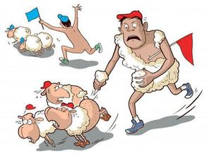 羊毛党名单是什么意思,羊毛党网站