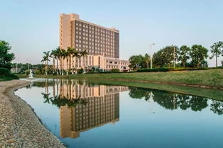 珠海的大学有哪些学校