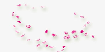 花瓣网怎么通过电话号码关注别人