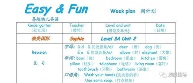 安排英文怎么说