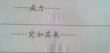 请问造句子一年级简单