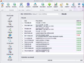 如何进行网站诊断？