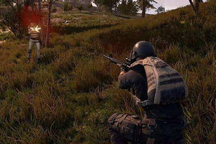 电脑版绝地求生现在免费了吗