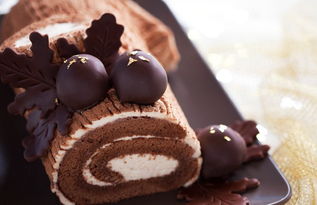 怎么做巧克力面包,怎么做巧克力蛋糕