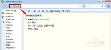 如何使用灵格斯在线翻译