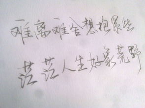 好看的字体有哪些？