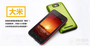 大米手机是怎么回事?是个什么牌子?