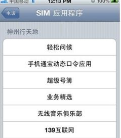 接入点名称ApN是什么意思