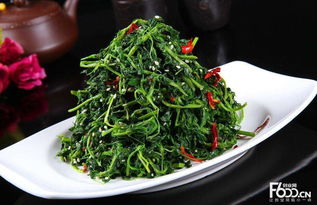 新农业创业项目有哪些