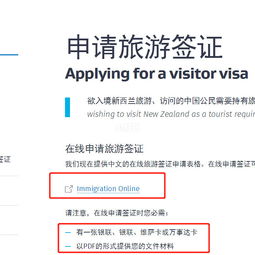 该怎么网上签证