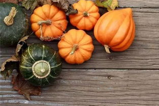 南瓜怎么种才能多结瓜