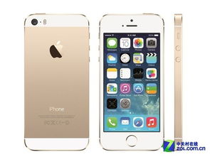 名词解释:土豪金