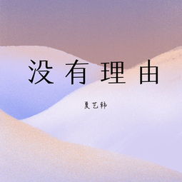 没有理由歌词？