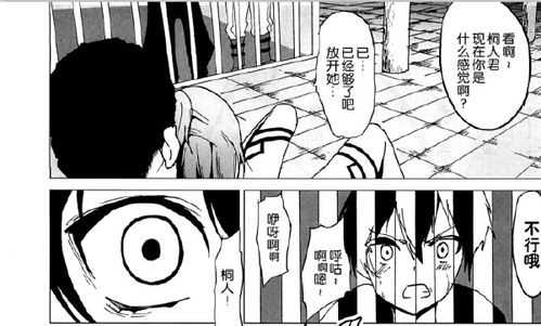 同人文中的H是什么意思？