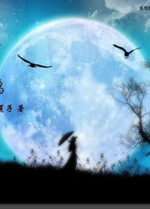 明月别枝惊鹊清风半夜鸣蝉的意思