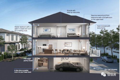 duplex是什么意思，双工，双工的，双向的翻译