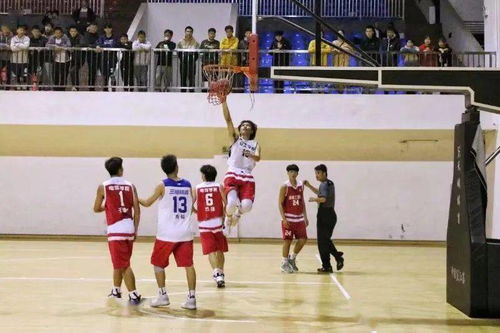 半决赛是什么意思,半决赛和四分之一决赛