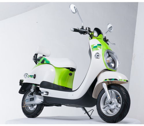 什么牌子的电动自行车好?