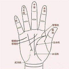 财运手相男，财运手相怎么看