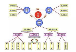 免疫系统有哪些？
