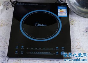 电磁炉十大排名是那些品牌？