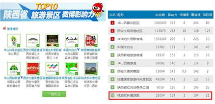 文中认为政务微博具有怎样的优点和缺点
