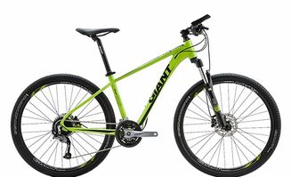 自行车品牌排行有谁知道？