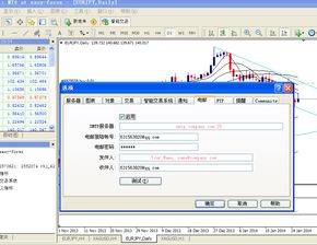 电子邮箱是什么怎么填写？