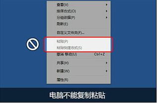 电脑为什么突然不能复制粘贴了？