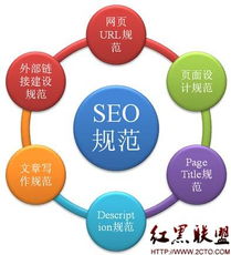 搜索引擎优化,网站搜索优化