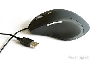 电脑鼠标滚轮突然失灵