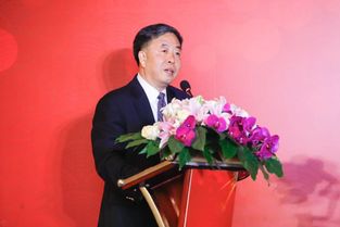 国美事件的事件起因