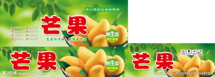 芒果包装盒图片