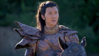 兰陵王是谁主演的