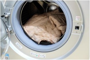 羽绒服用洗衣机洗可以吗