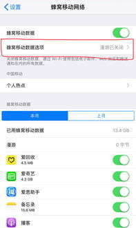 4g+是什么意思