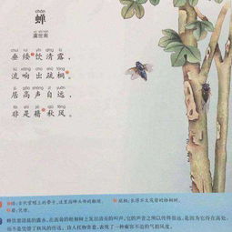 蝉这首诗的意思简短