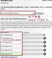 怎样免费申请tk域名？