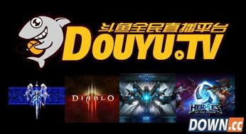 斗鱼一个火箭多少钱？