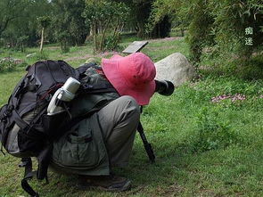 拍砖是什么意思 拍砖什么意思