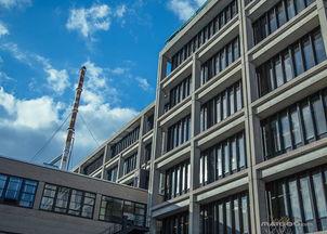 国外名牌大学排名